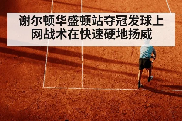 谢尔顿华盛顿站夺冠发球上网战术在快速硬地扬威