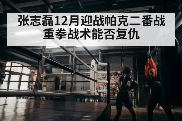 张志磊12月迎战帕克二番战 重拳战术能否复仇
